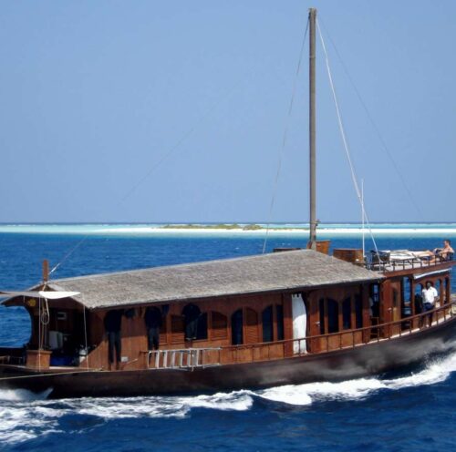 DHONI STELLA 2