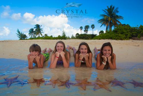 crystalcharters