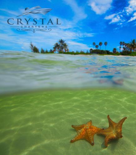 crystalcharters