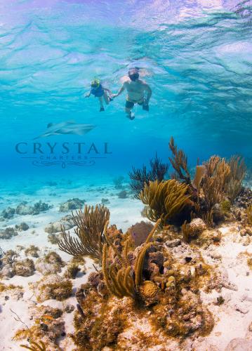 crystalcharters