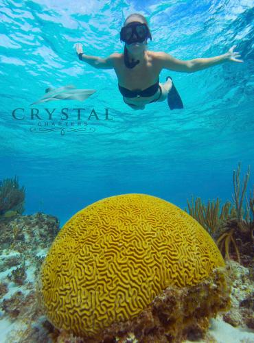 crystalcharters