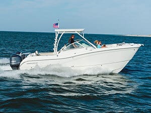 Private Stingray City Tour