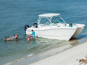 Private Stingray City Tour