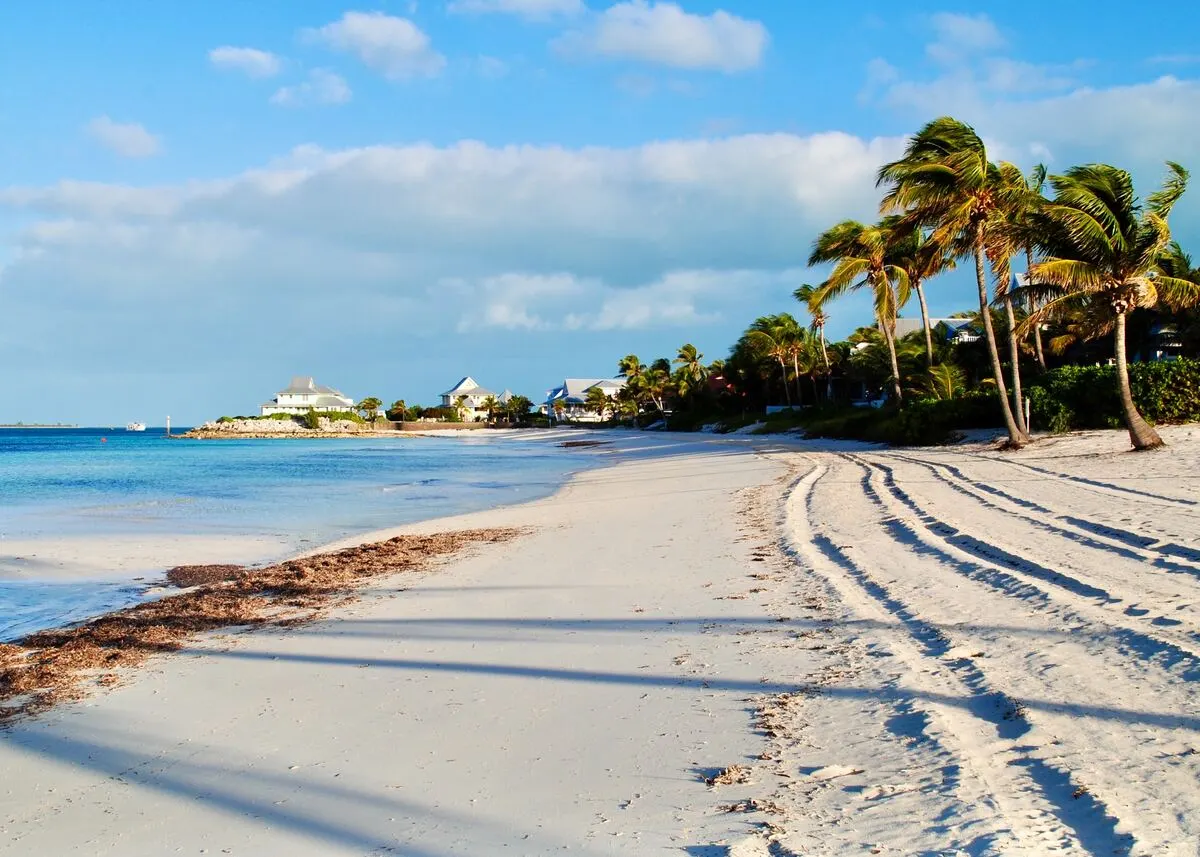 sand and palm trees on Berry Islands beach