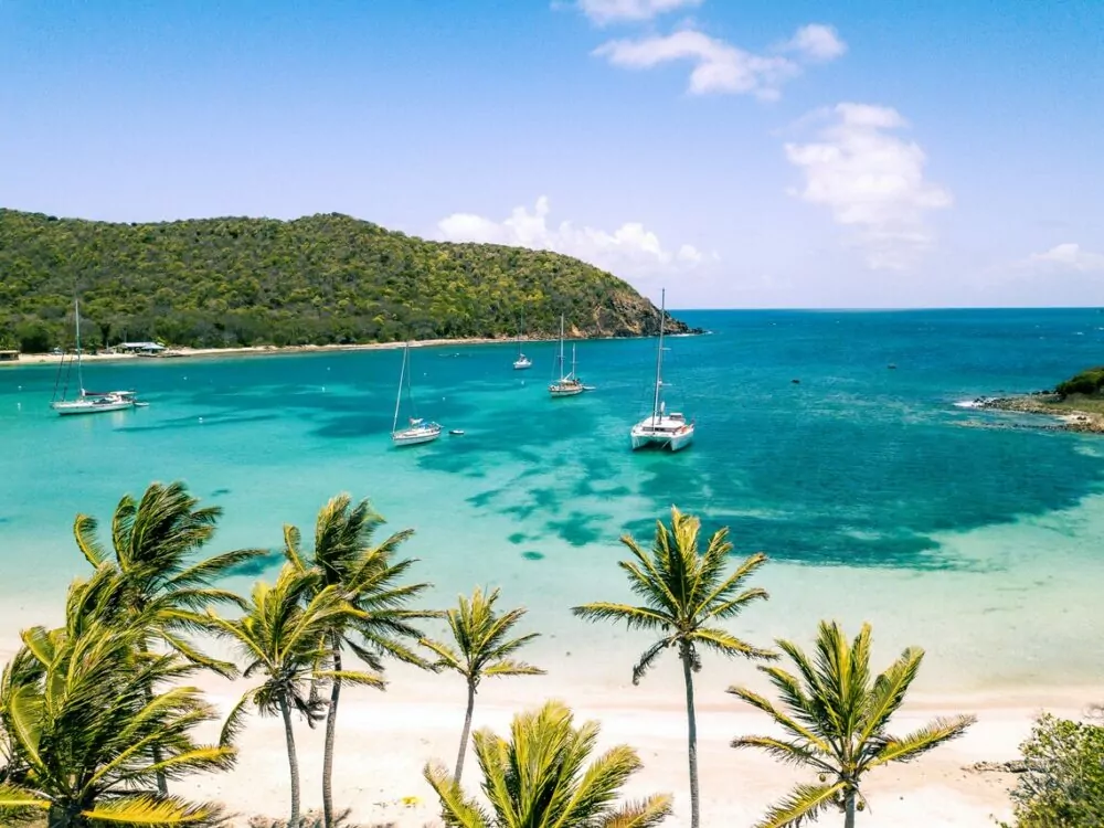 palm trees and sand at Mayreau beach