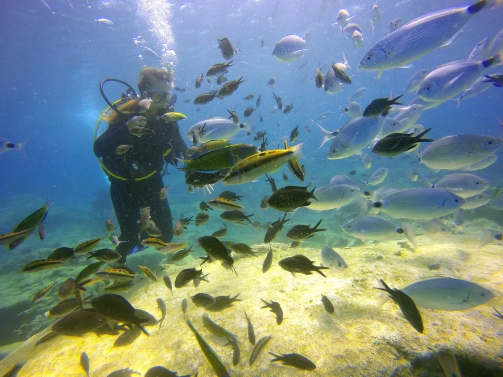 BVI Scuba Diving