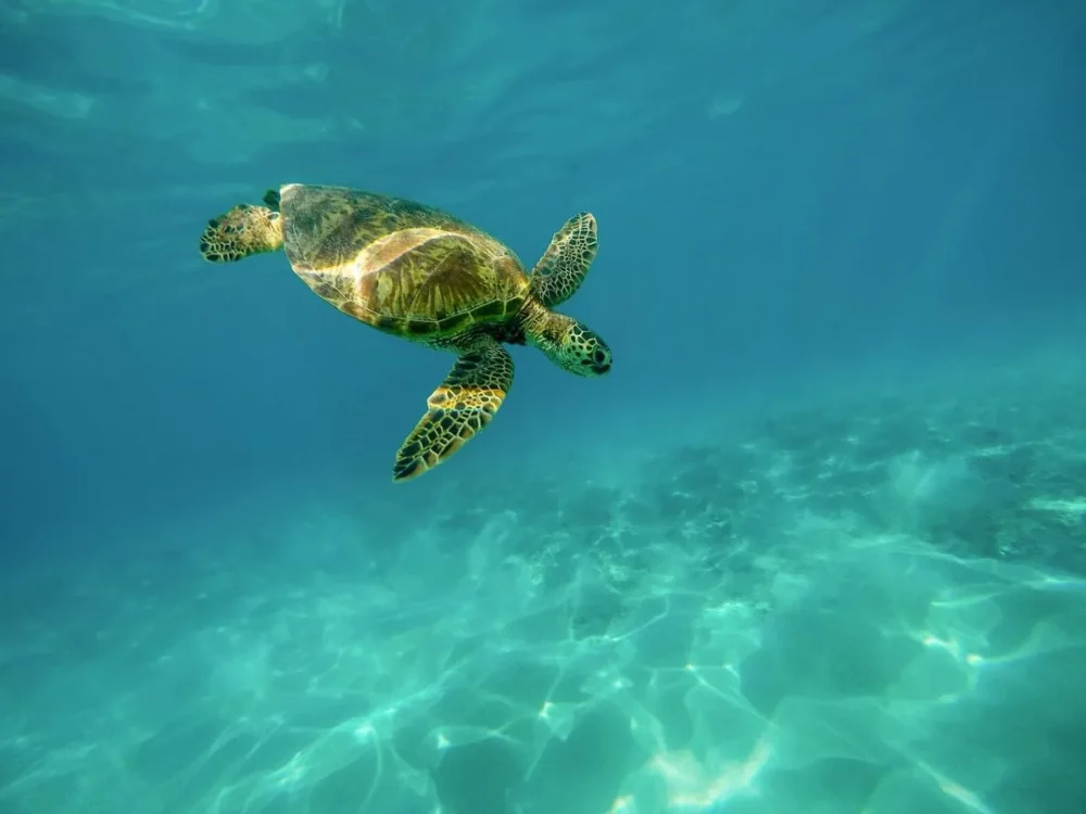 St Eustatius - british virgin islands yacht charter